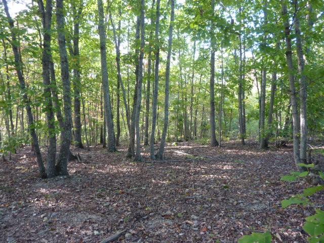 249 Lawhon Farm Road Loudon, TN 37774 - Photo 8 of 10 Lawhon Farm Woods