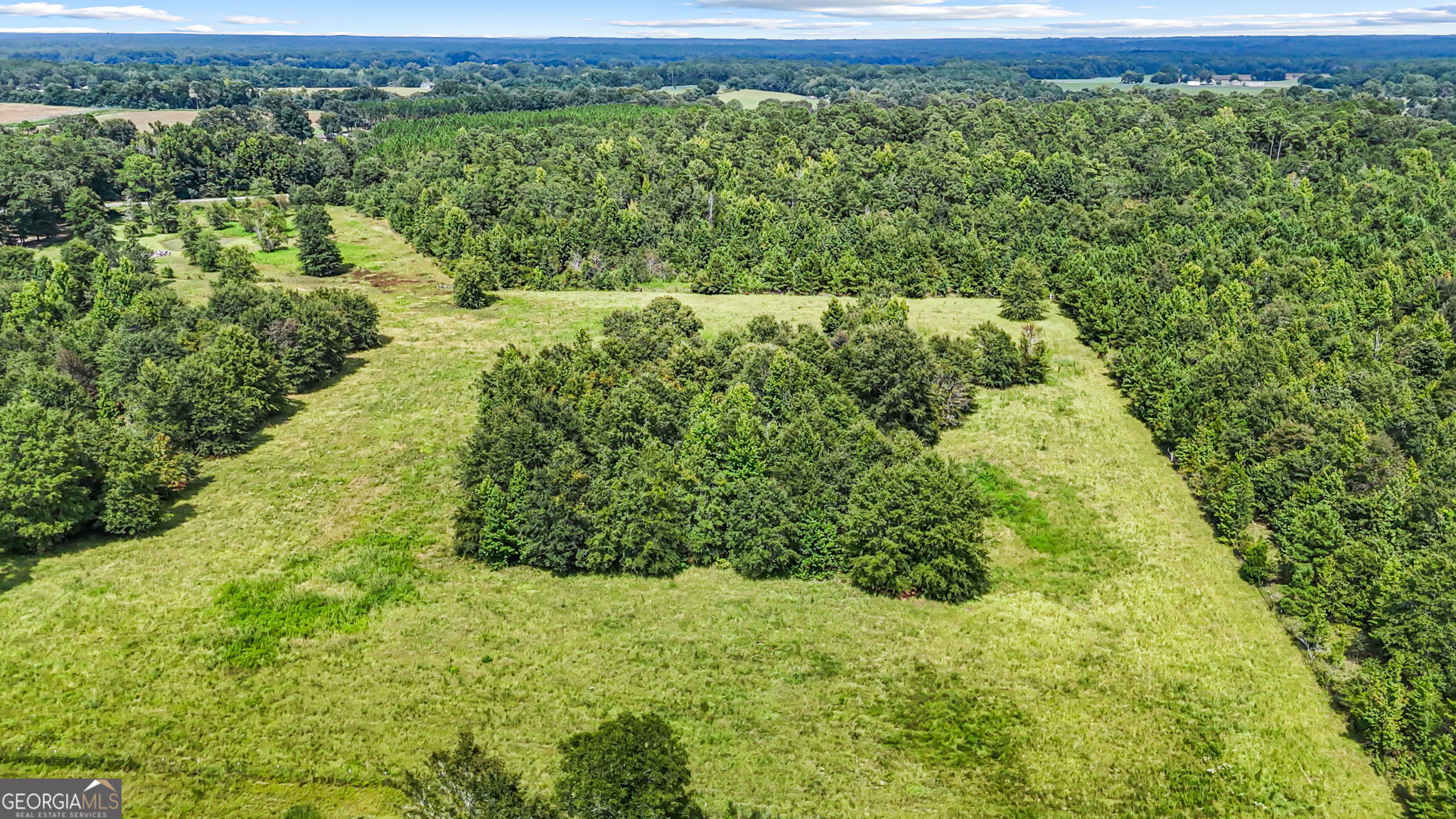 1010 Frank Cook Road Cochran, GA 31014 - Photo 77 of 81 Gallery Image 77
