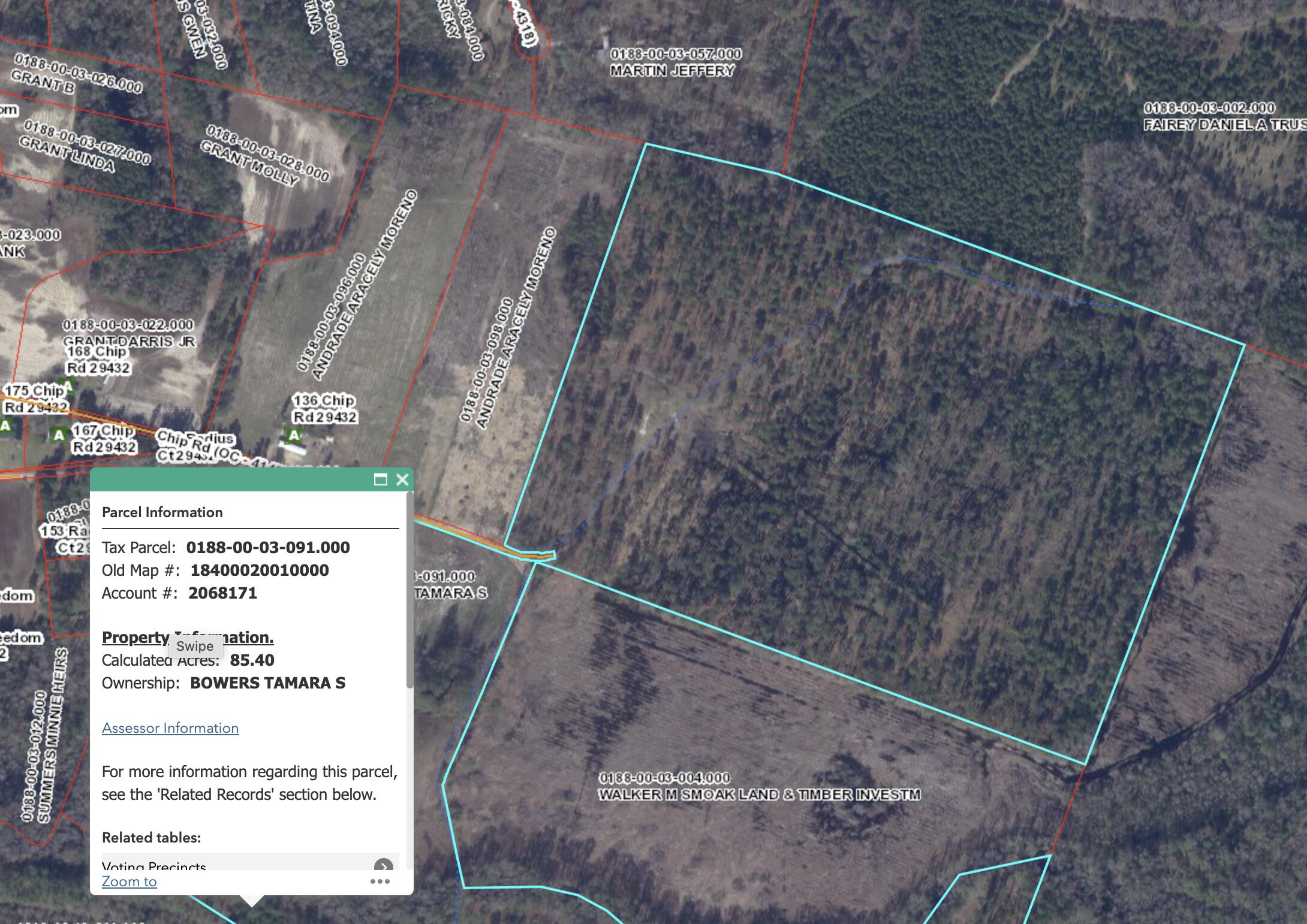 0 Chip Road Branchville, SC 29432 - Photo 2 of 6 Screenshot 2024-05-16 at 12.40.09 PM