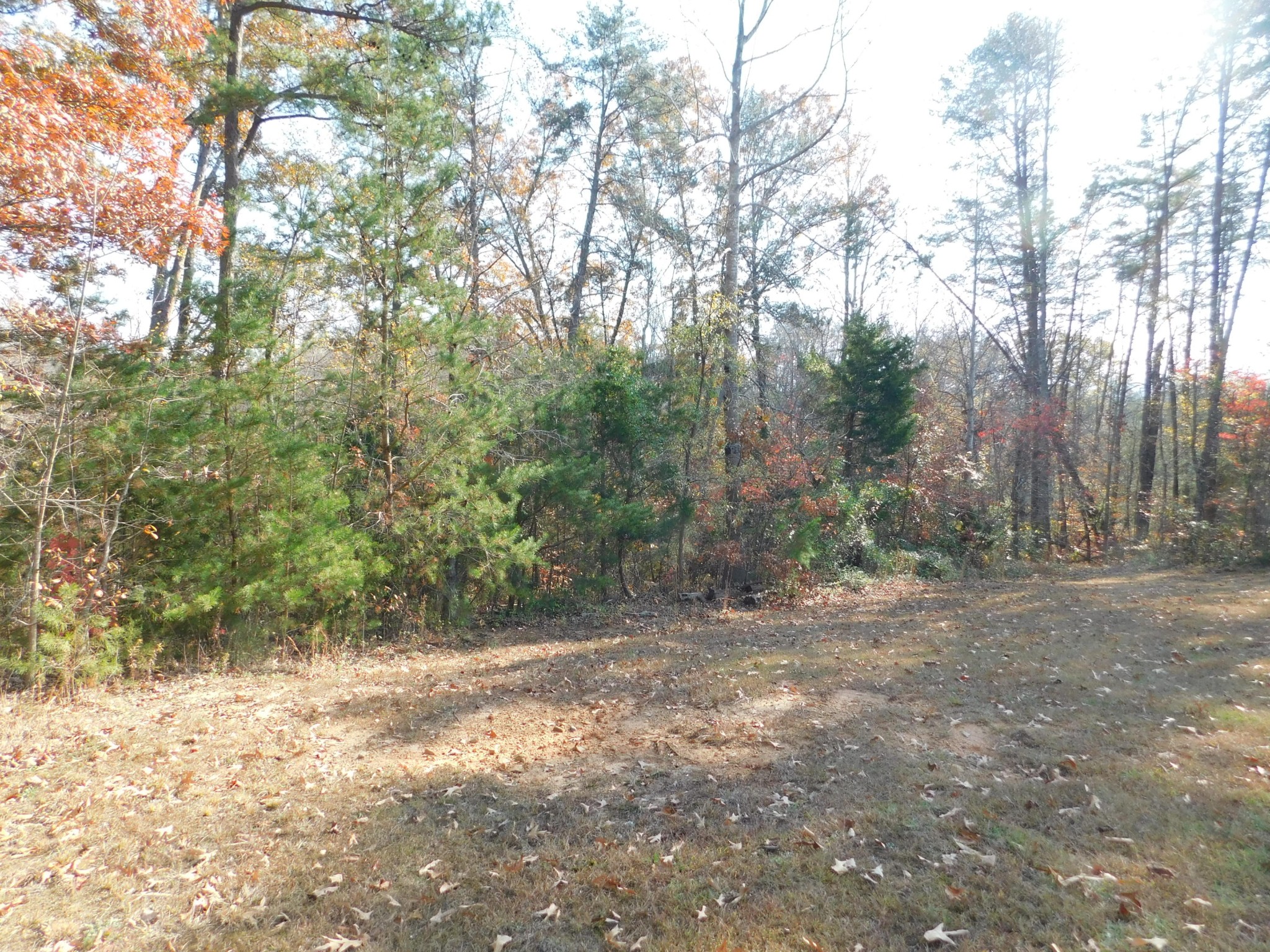 0 English Mountain Road Cosby, TN 37722 - Photo 24 of 25 Gallery Image 24