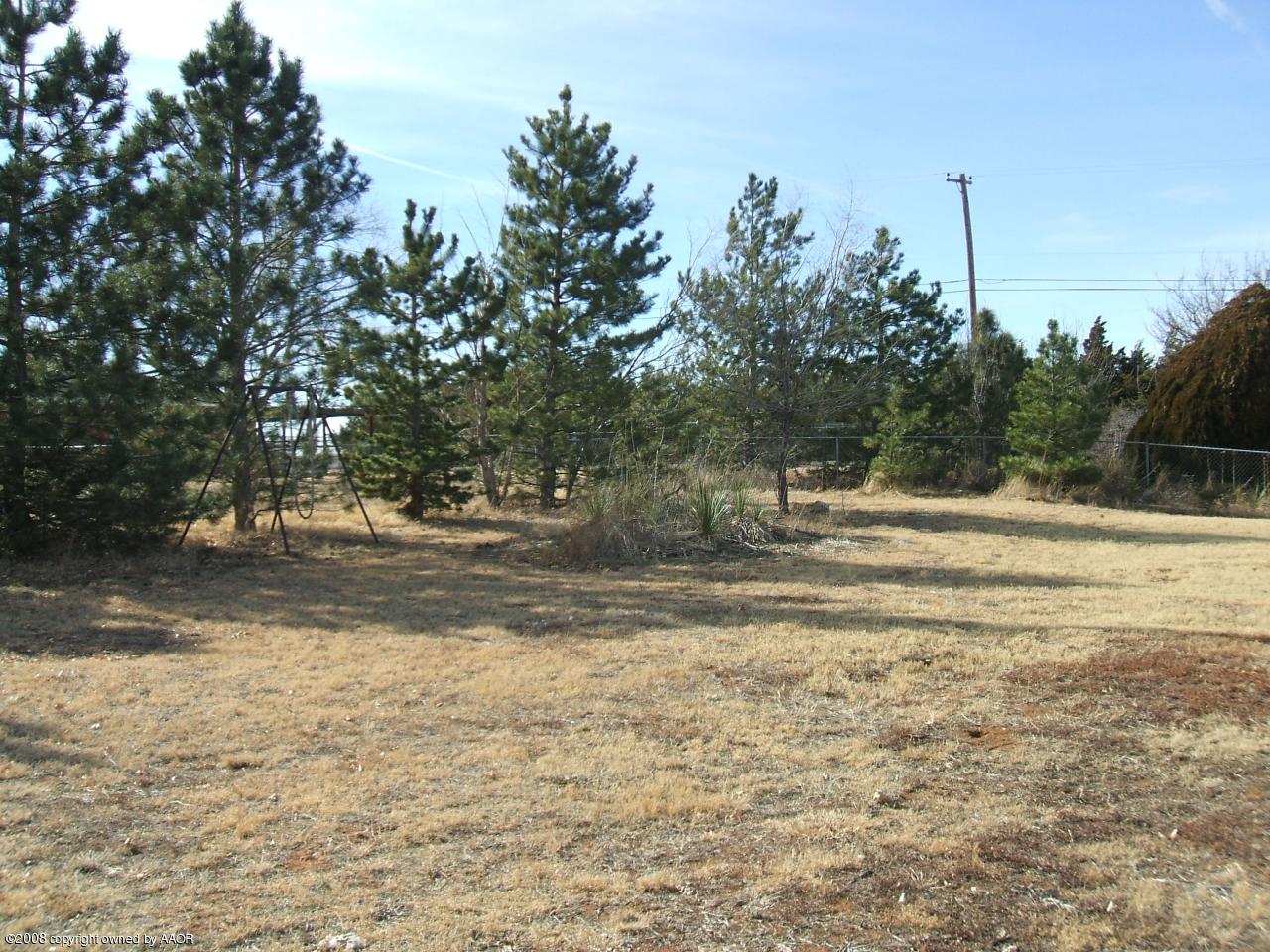 205 Appaloosa Road Amarillo, TX 79108 - Photo 20 of 25 Back