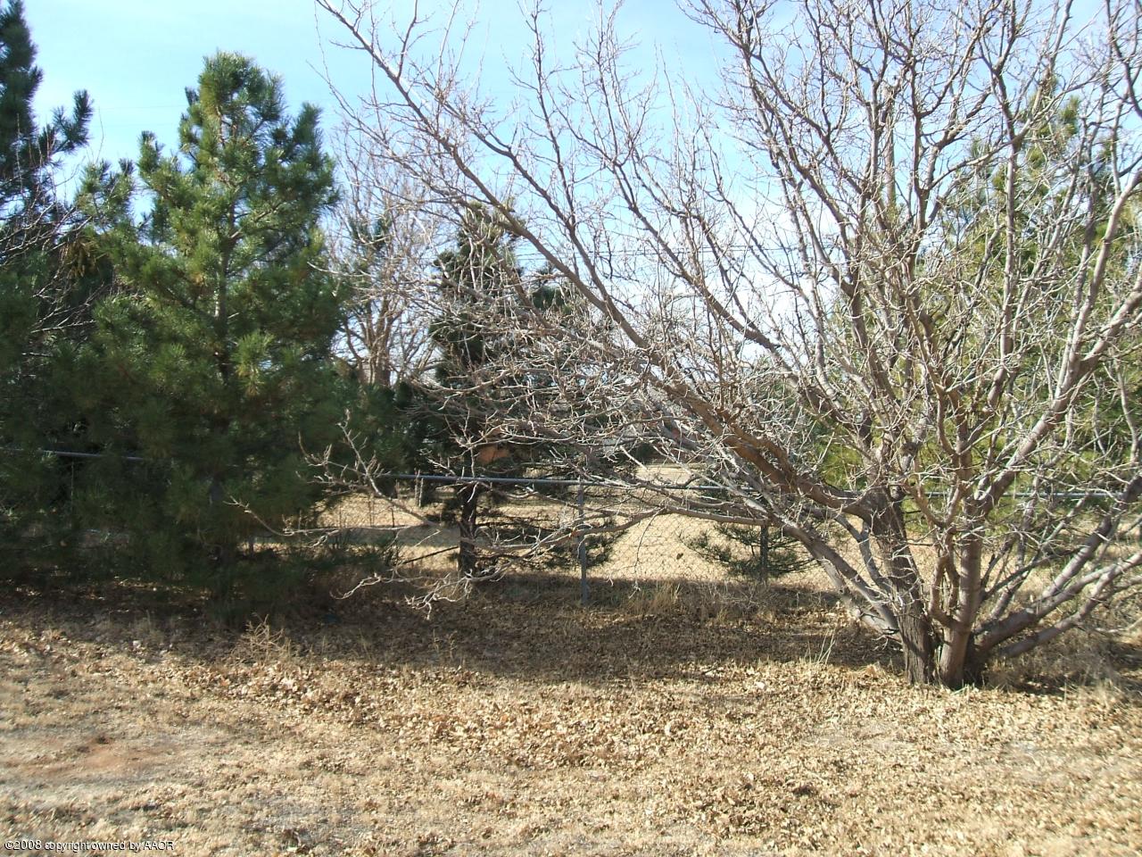 205 Appaloosa Road Amarillo, TX 79108 - Photo 22 of 25 Back