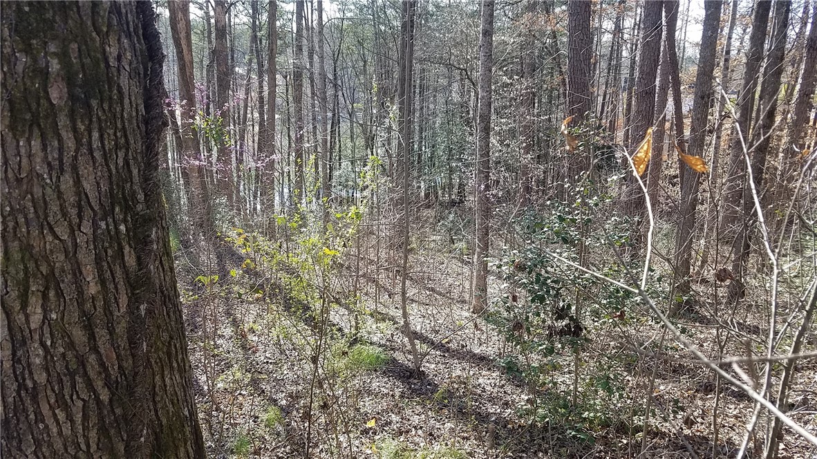 0 Harbor Point Road, Unit LOT 45 Seneca, SC 29672 - Photo 9 of 23 Gallery Image 9
