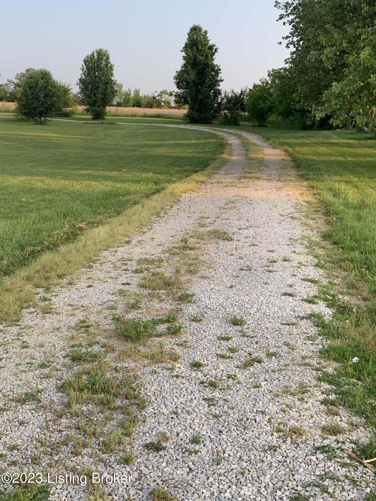 9506 Highway 86 Custer, KY 40115 - Photo 23 of 23 laurie pic 29