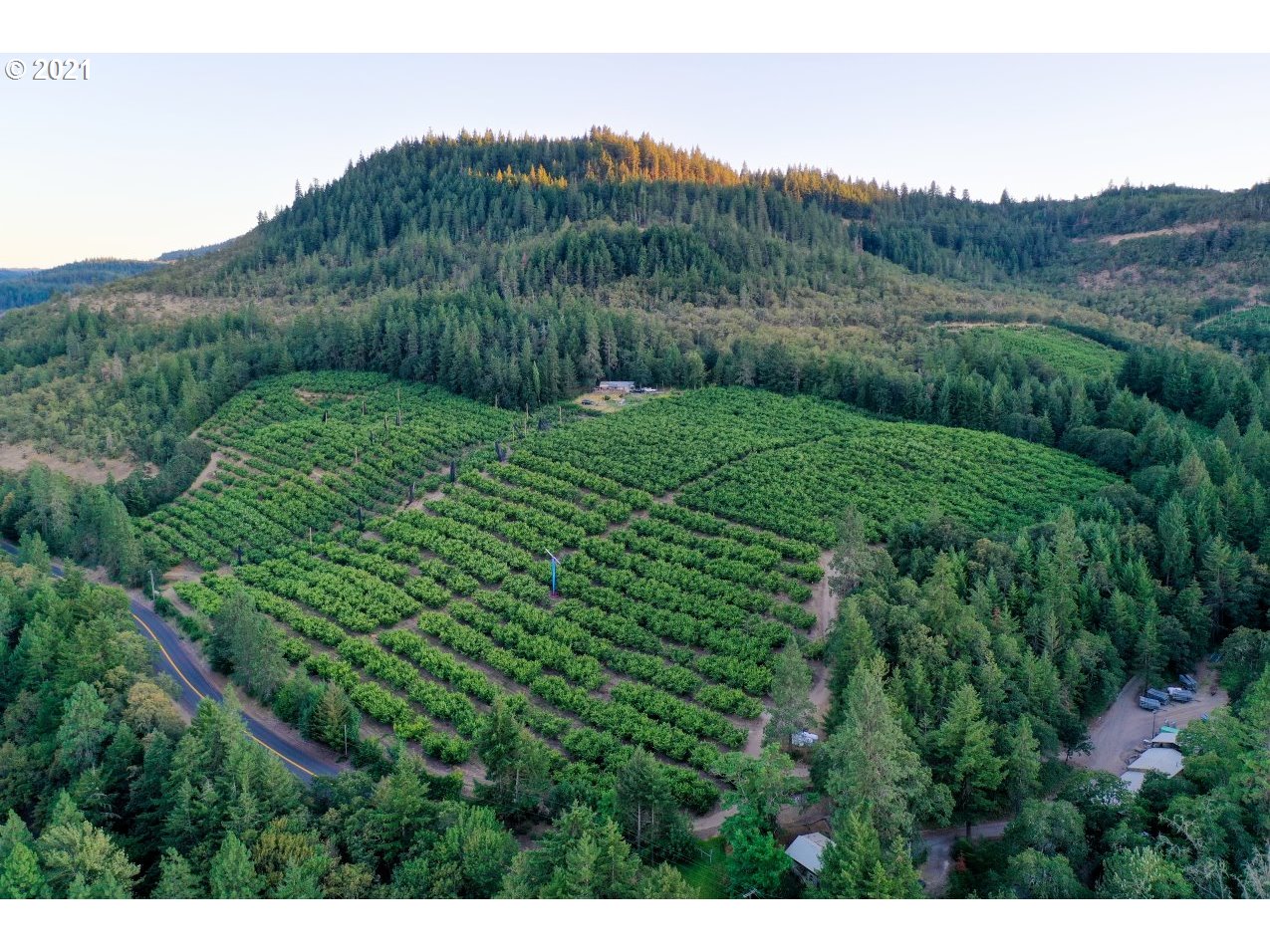 1600 Mosier Creek Road Mosier, OR 97040 - Photo 1 of 16 Gallery Image 1