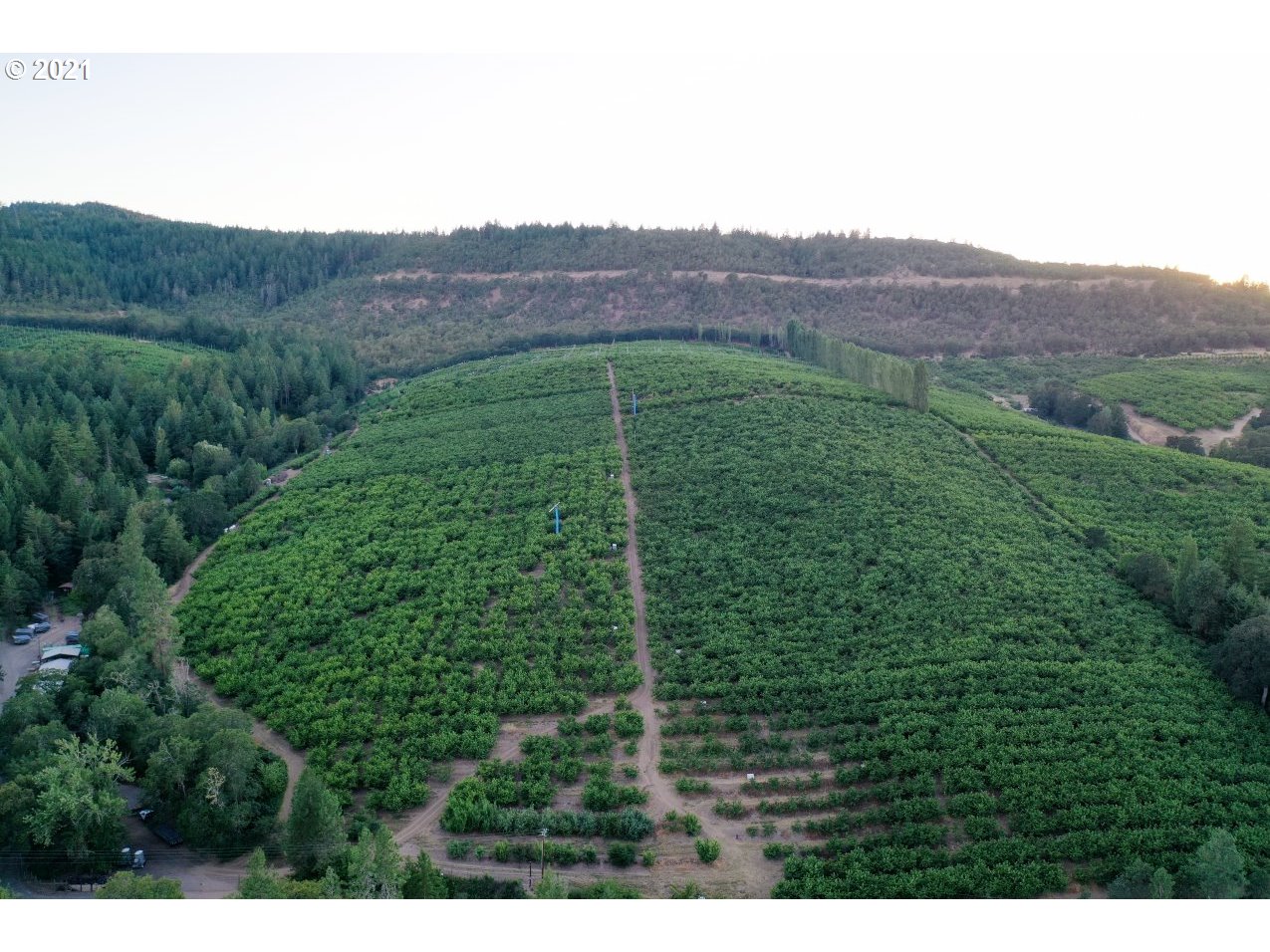 1600 Mosier Creek Road Mosier, OR 97040 - Photo 11 of 16 Gallery Image 11