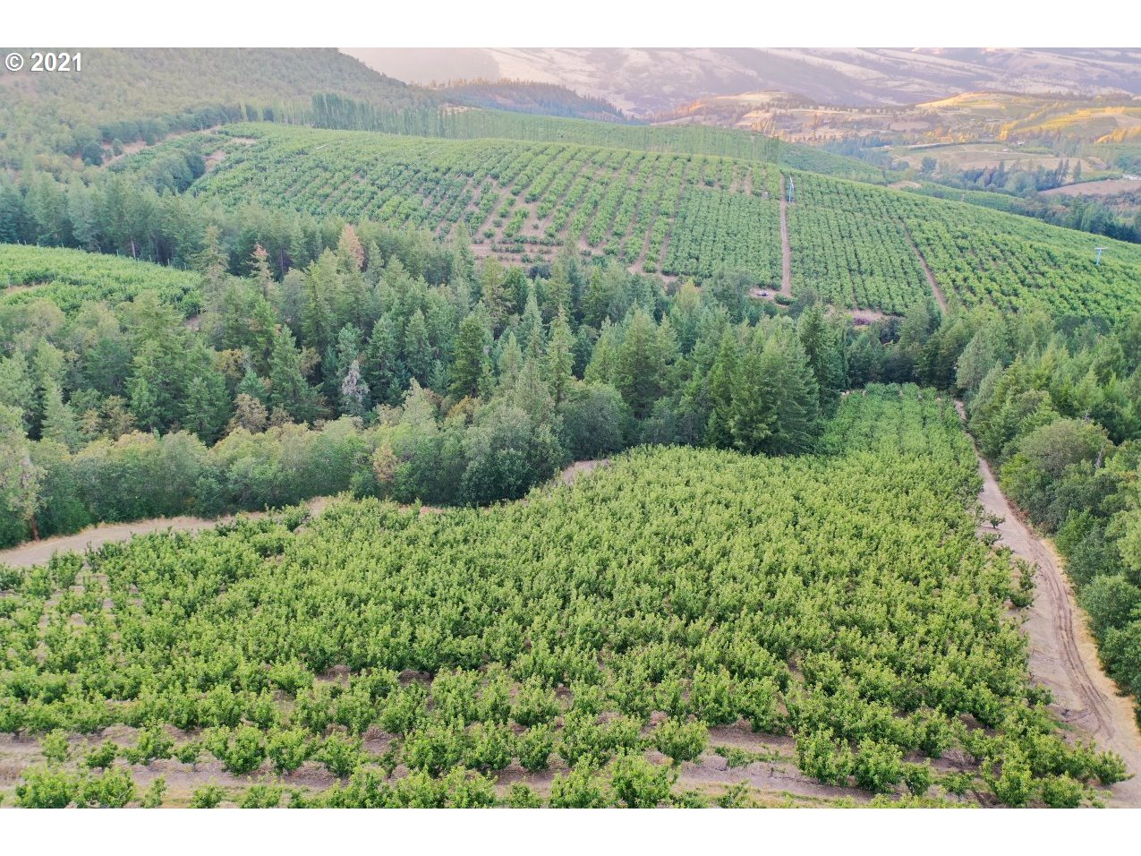 1600 Mosier Creek Road Mosier, OR 97040 - Photo 13 of 16 Gallery Image 13