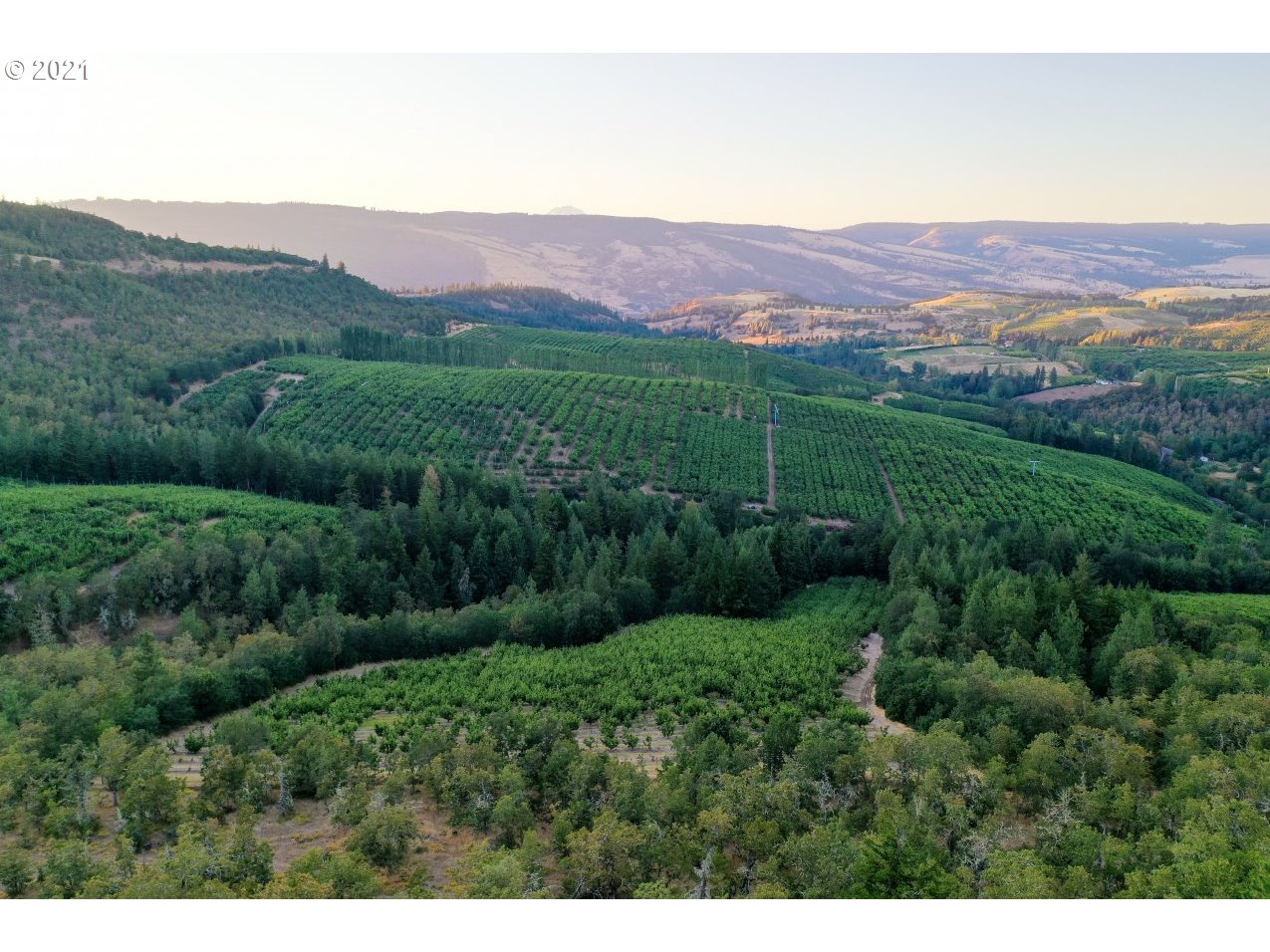 1600 Mosier Creek Road Mosier, OR 97040 - Photo 14 of 16 Gallery Image 14