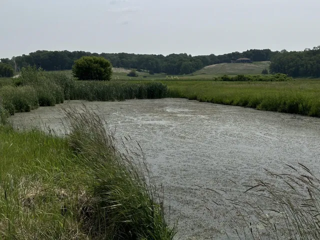 $233,500 | 16025 Rte 78 South Mount, Mount Carroll, IL 61053