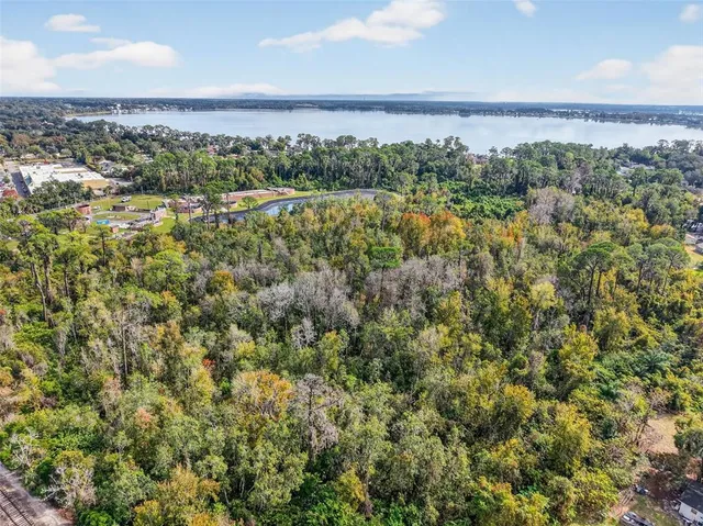 a view of a city with lush green forest
