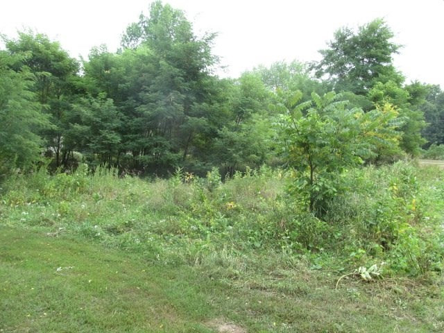 V/l Oakpoint Road Jackson, MI 49201 - Photo 6 of 11