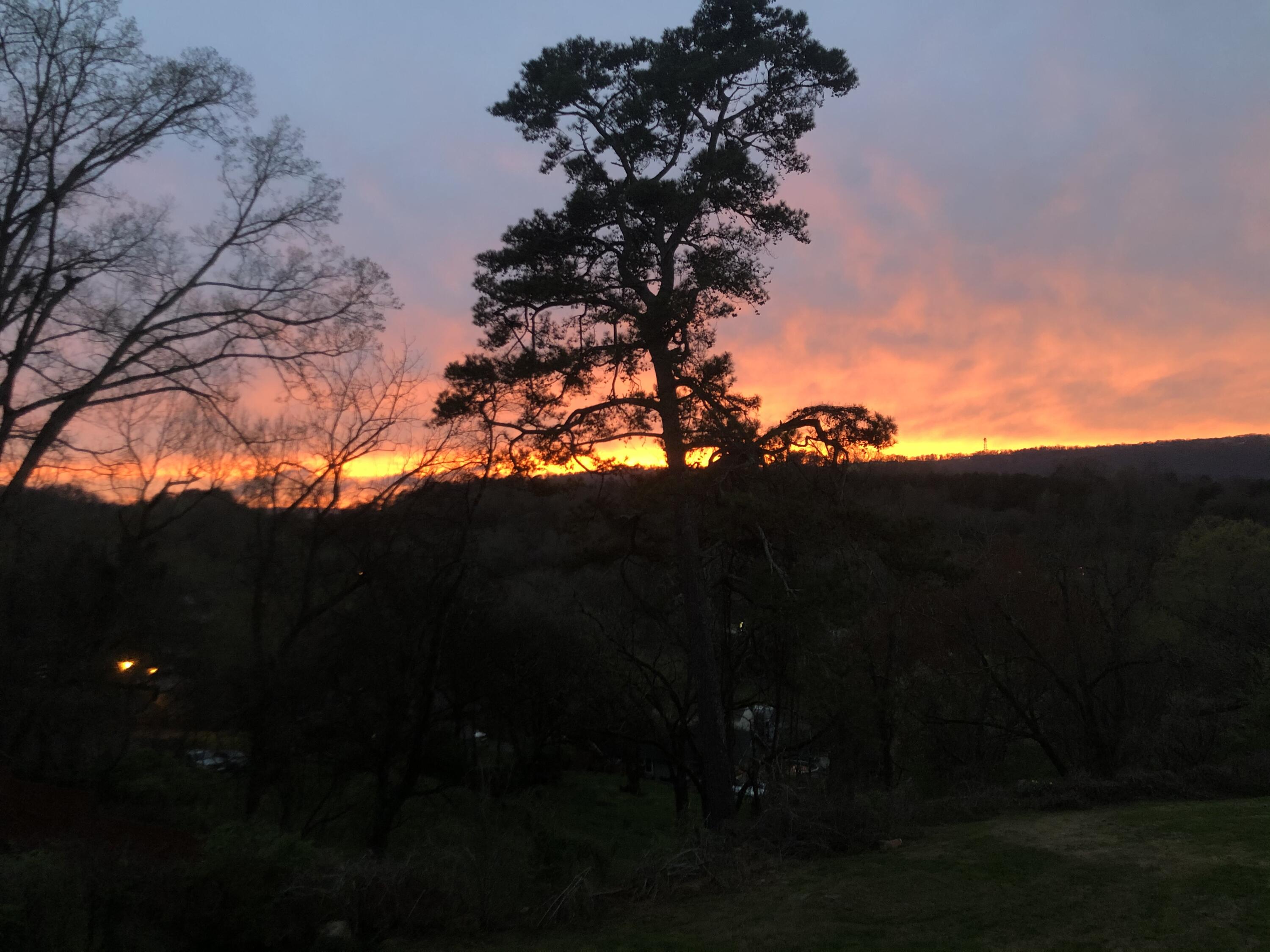 3801 Oweda Terrace Chattanooga, TN 37415 - Photo 30 of 45 5AD5B48A-8490-40DF-951E-E68DA0C783D6