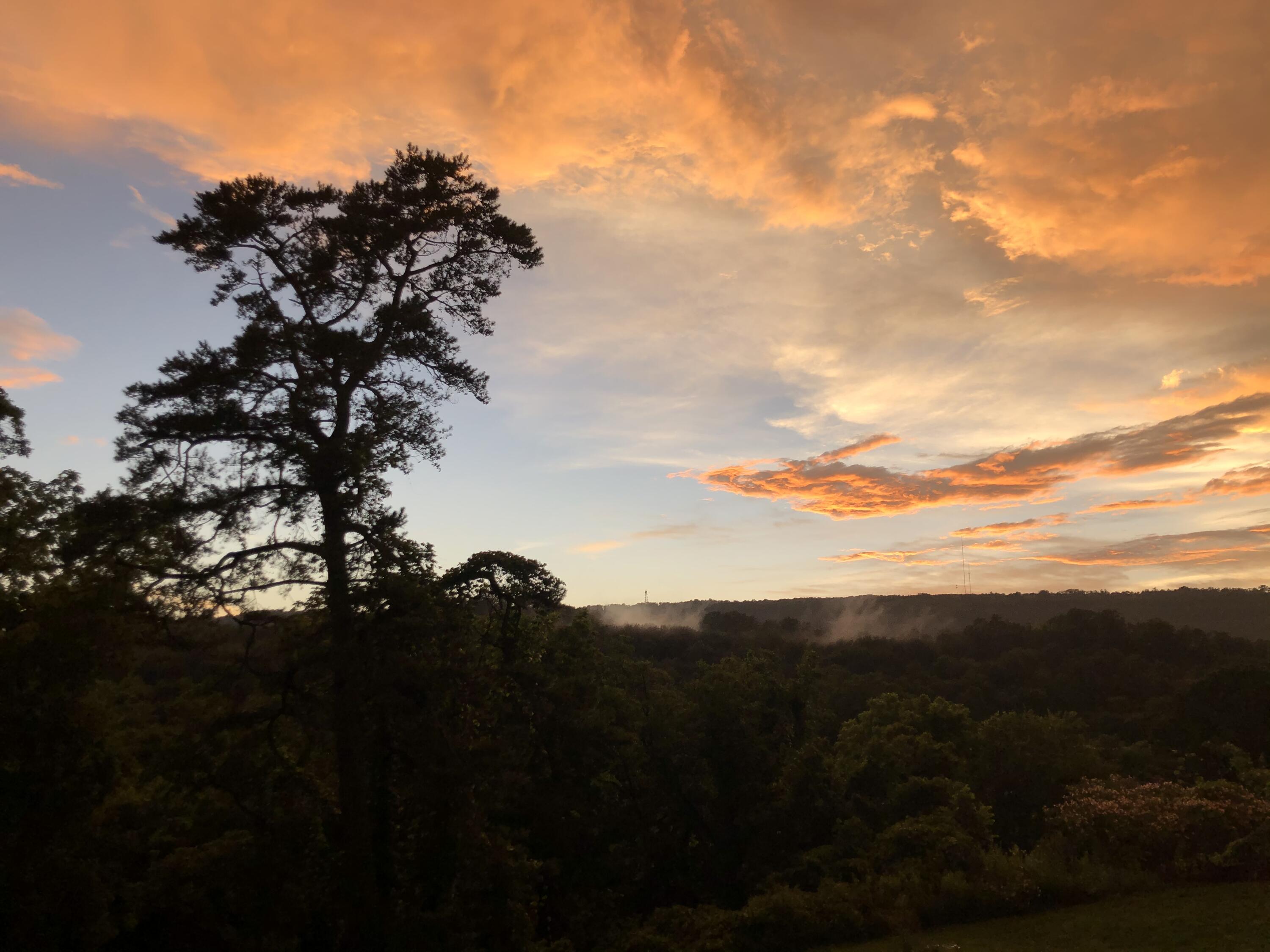 3801 Oweda Terrace Chattanooga, TN 37415 - Photo 32 of 45 7A9827A5-0378-49D8-9390-D2D2D4EFA206