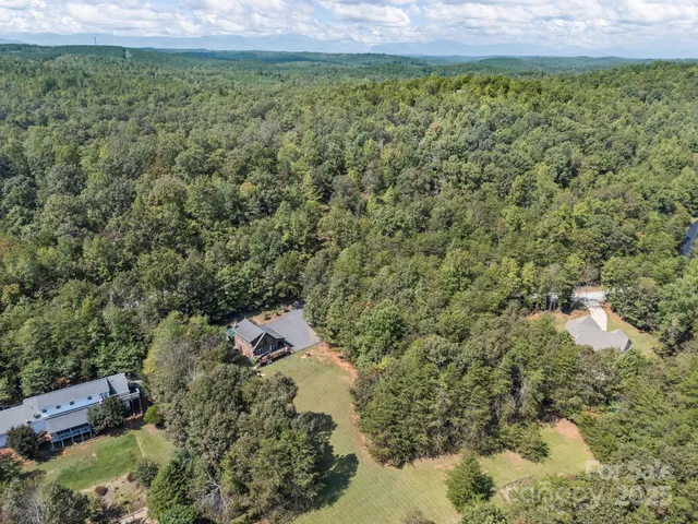 a view of a bunch of trees and bushes