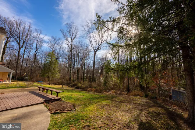 a view of a backyard with large trees