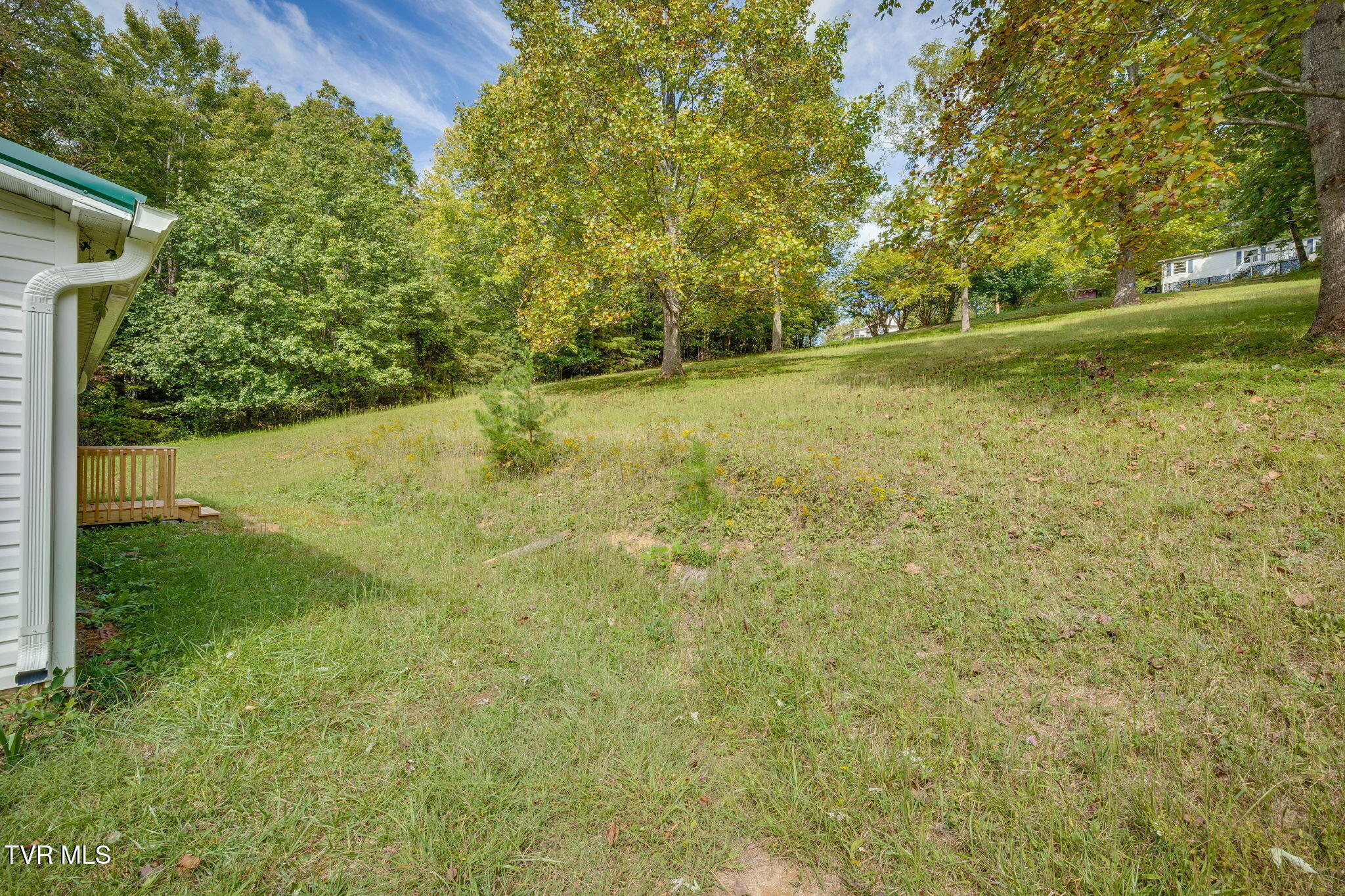 225 Sheets Hollow Road Johnson City, TN 37601 - Photo 23 of 25 022 (2)