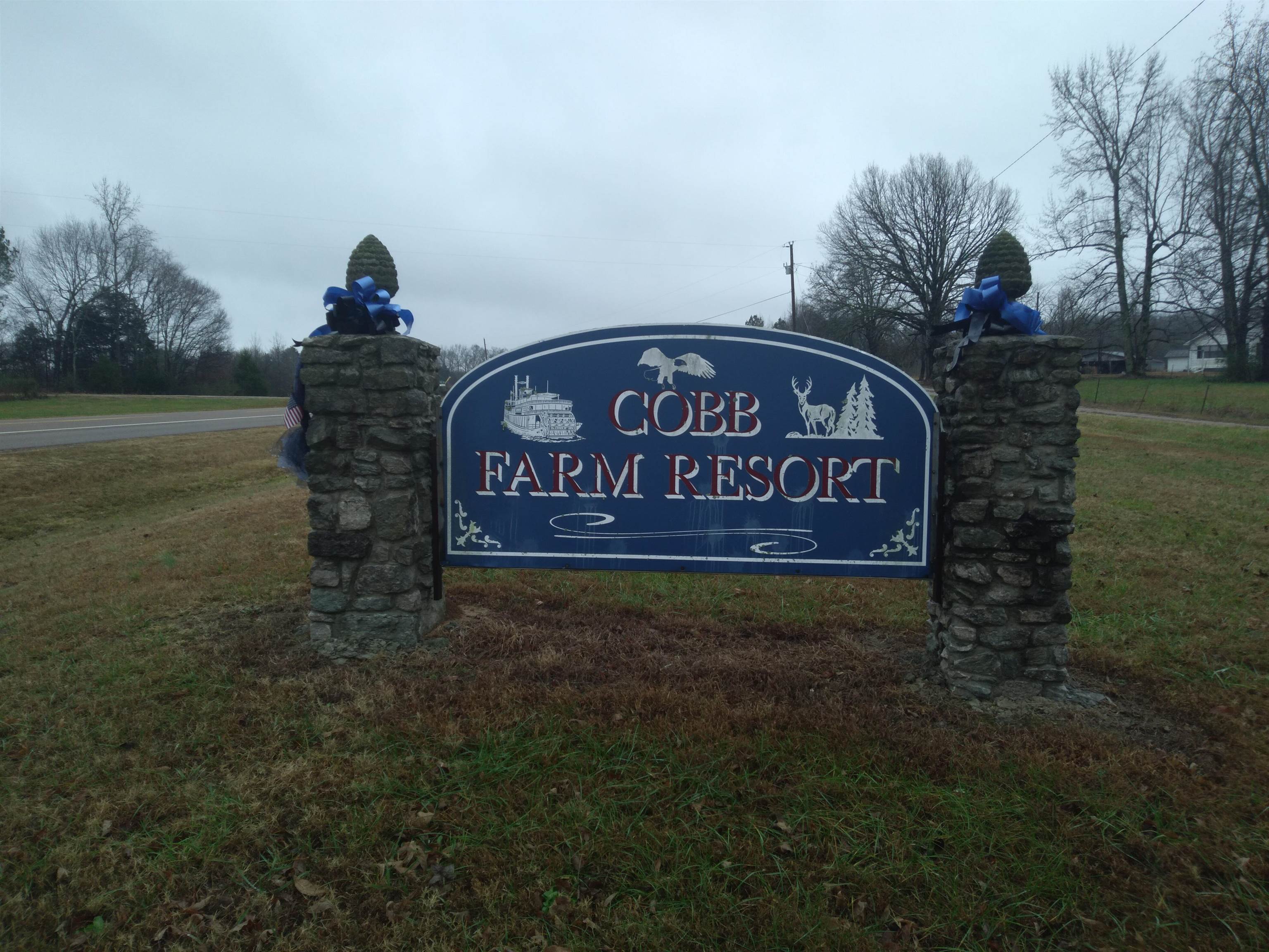 0 Senator Cobb Road Clifton, TN 38425 - Photo 2 of 10 Gallery Image 2