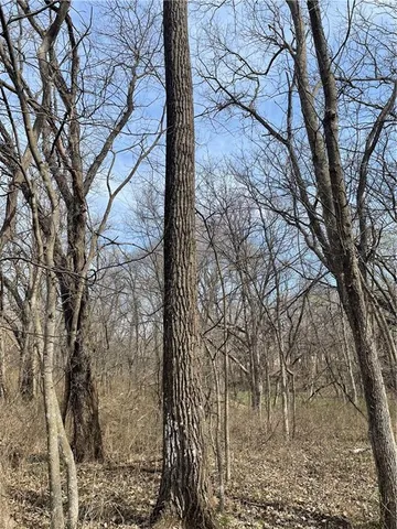 $870,400 | Galaxy Road, Clearmont, MO 64431