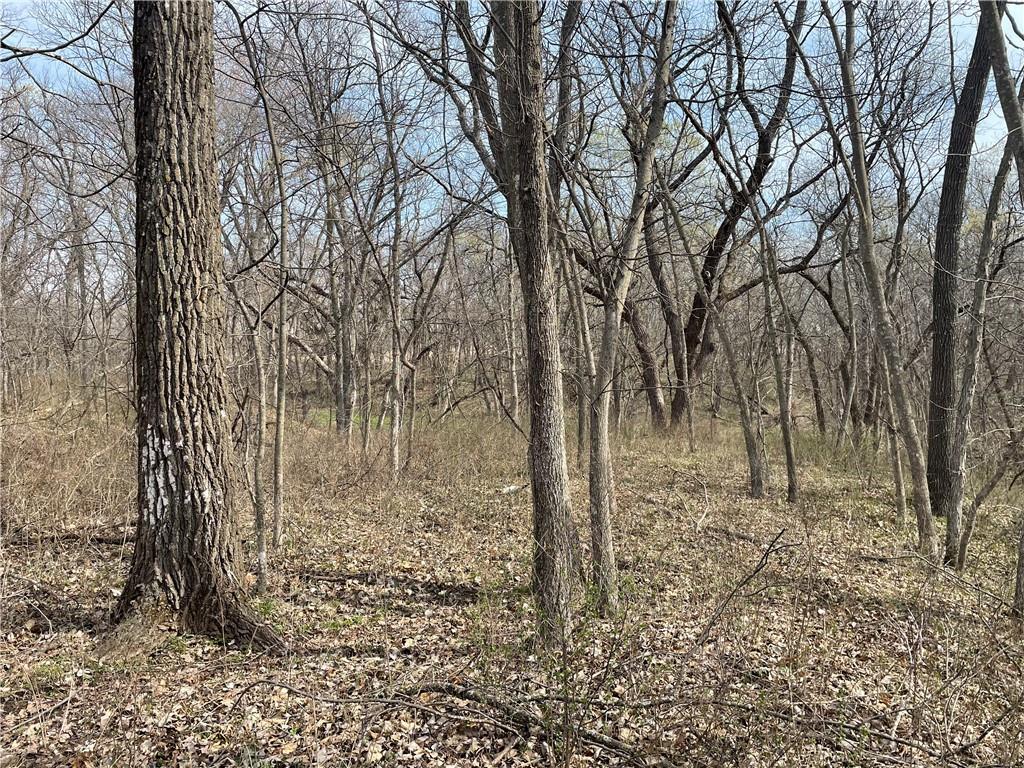 Galaxy Road Clearmont, MO 64431 - Photo 19 of 34