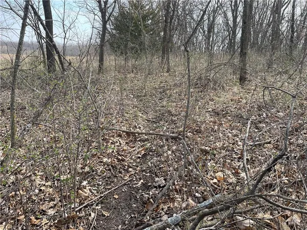 $870,400 | Galaxy Road, Clearmont, MO 64431