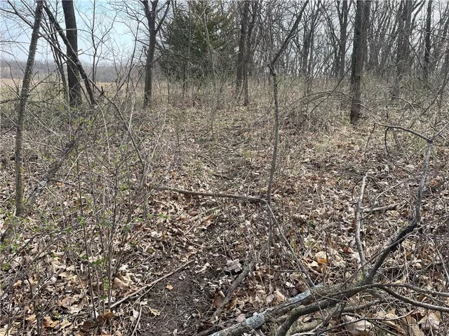 $870,400 | Galaxy Road, Clearmont, MO 64431