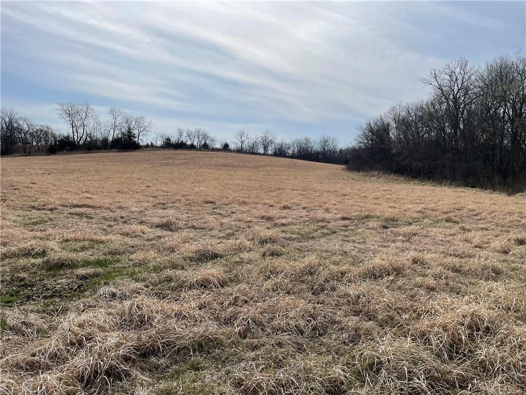 Galaxy Road Clearmont, MO 64431 - Photo 3 of 34