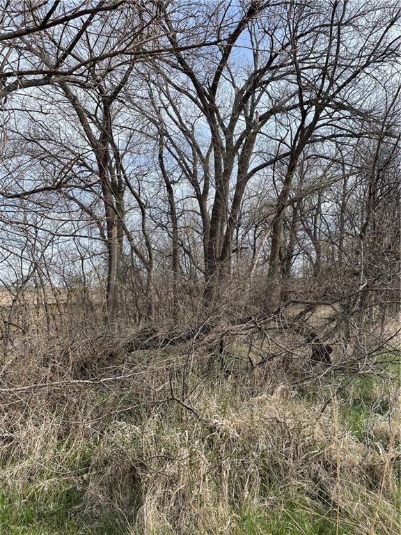 Galaxy Road Clearmont, MO 64431 - Photo 6 of 34