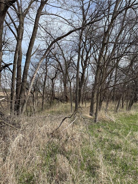 Galaxy Road Clearmont, MO 64431 - Photo 7 of 34