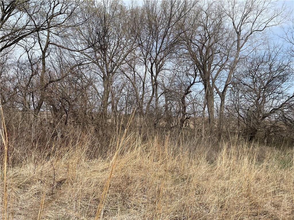 Galaxy Road Clearmont, MO 64431 - Photo 8 of 34