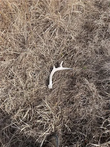 $870,400 | Galaxy Road, Clearmont, MO 64431