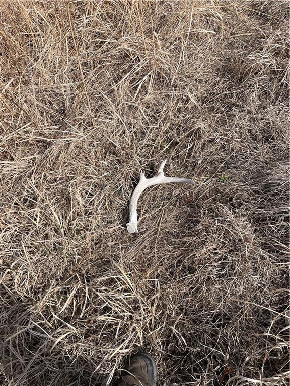 Galaxy Road Clearmont, MO 64431 - Photo 10 of 34