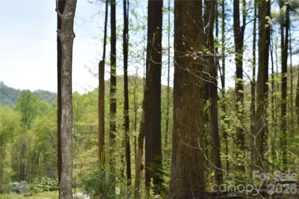 $95,000 | Tbd Cabin Flts Road, Sylva, NC 28779