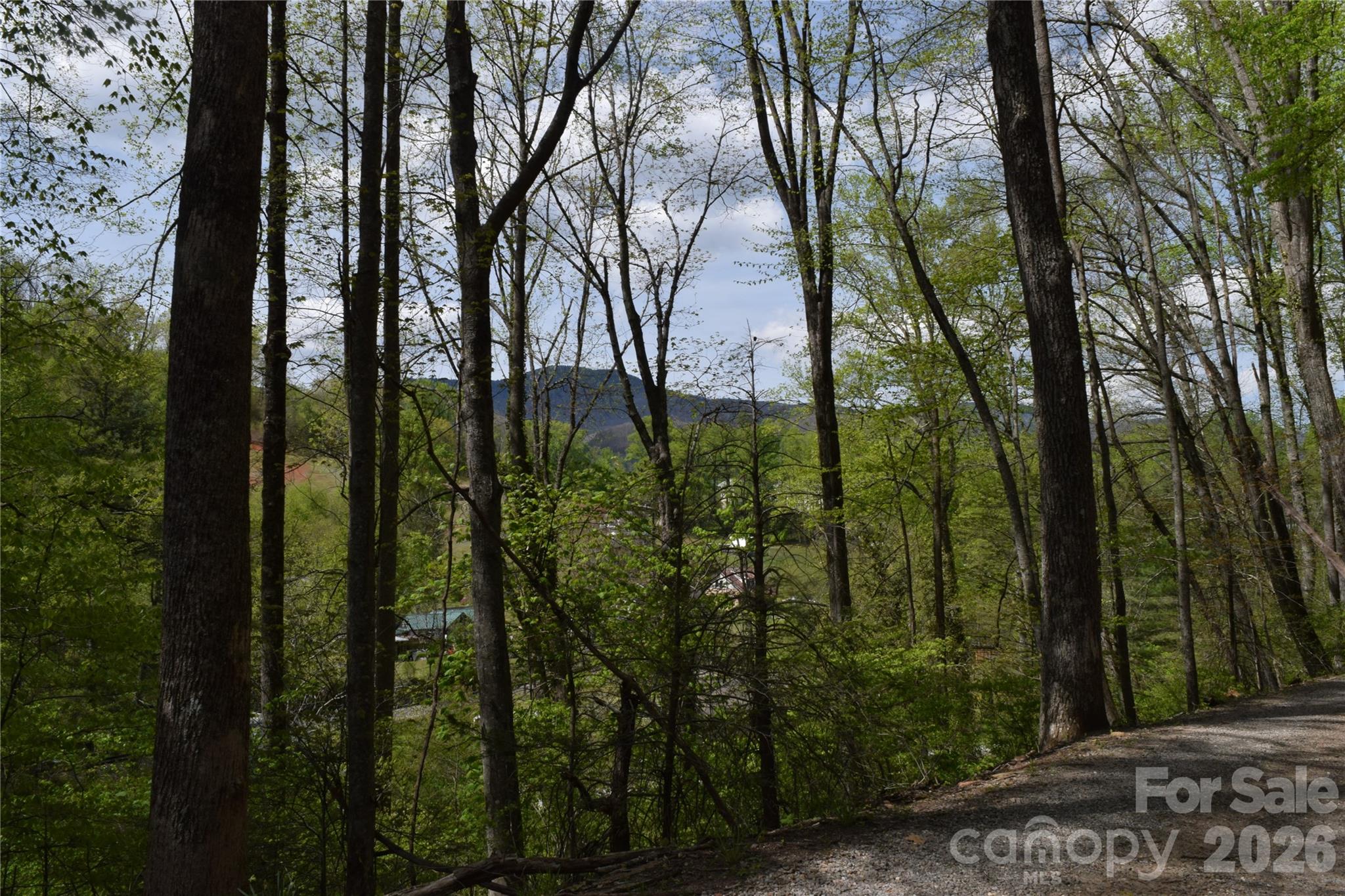 Tbd Cabin Flts Road Sylva, NC 28779 - Photo 16 of 18