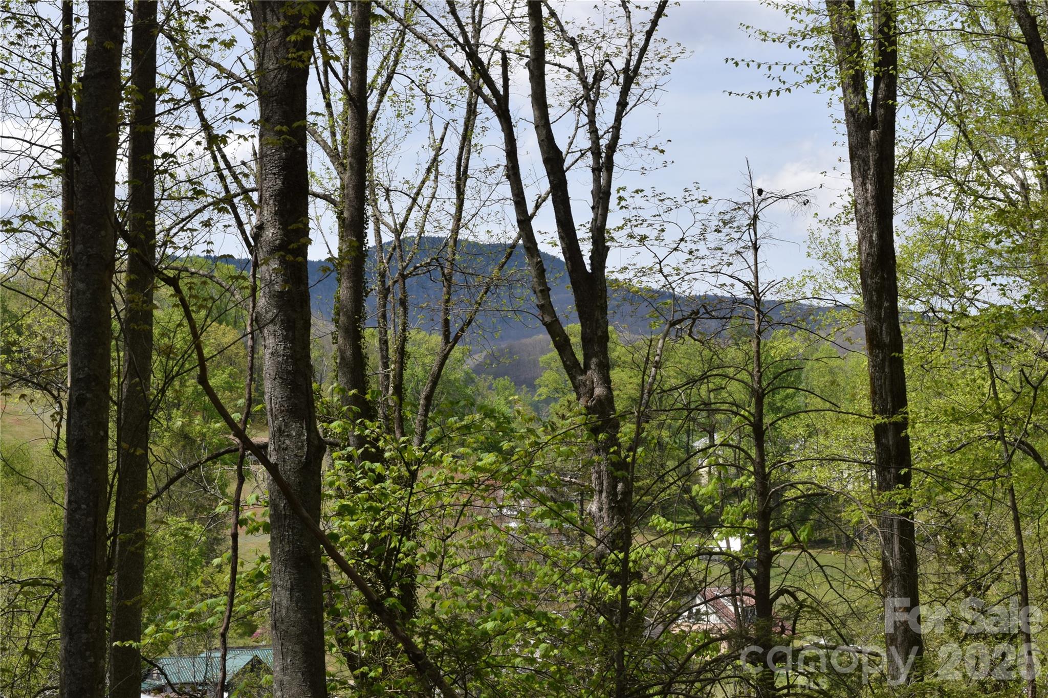 Tbd Cabin Flts Road Sylva, NC 28779 - Photo 17 of 18