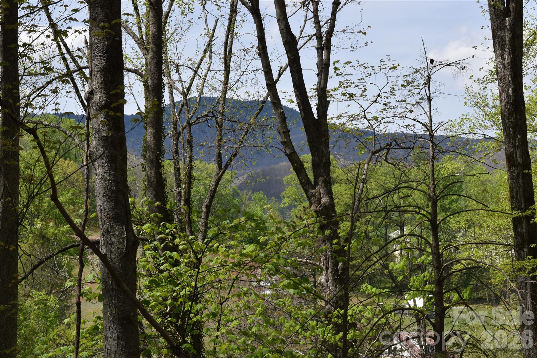 Tbd Cabin Flts Road Sylva, NC 28779 - Photo 18 of 18