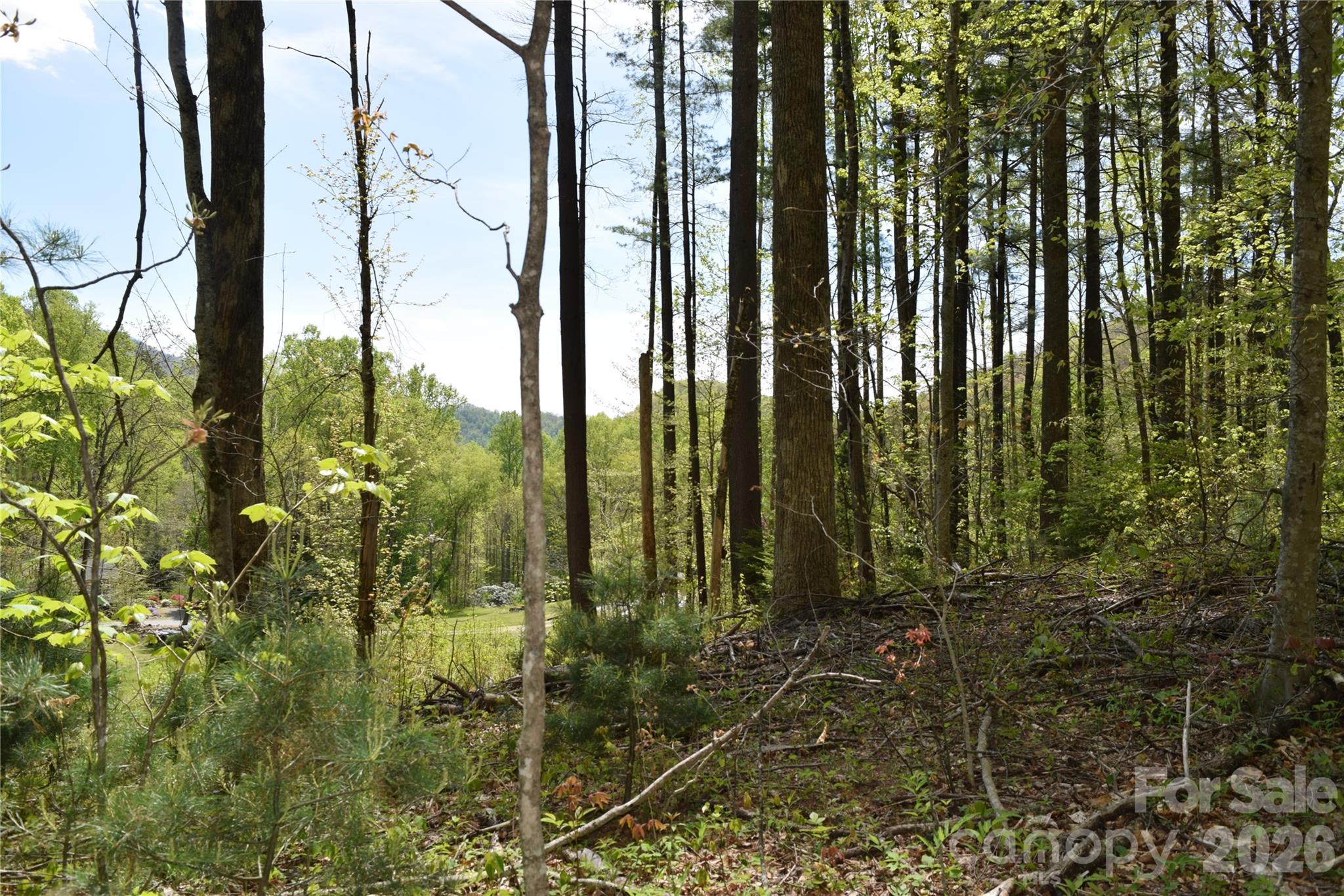 Tbd Cabin Flts Road Sylva, NC 28779 - Photo 8 of 18