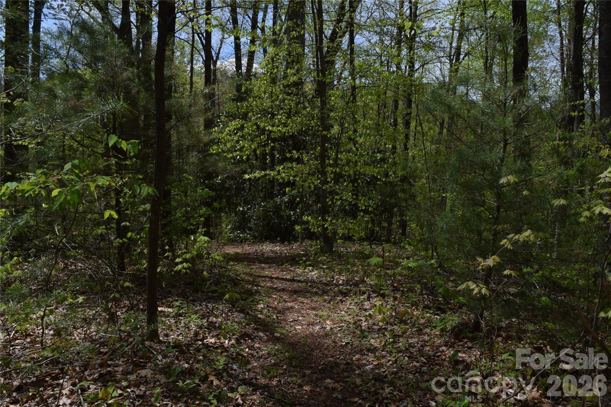 Tbd Cabin Flts Road Sylva, NC 28779 - Photo 10 of 18