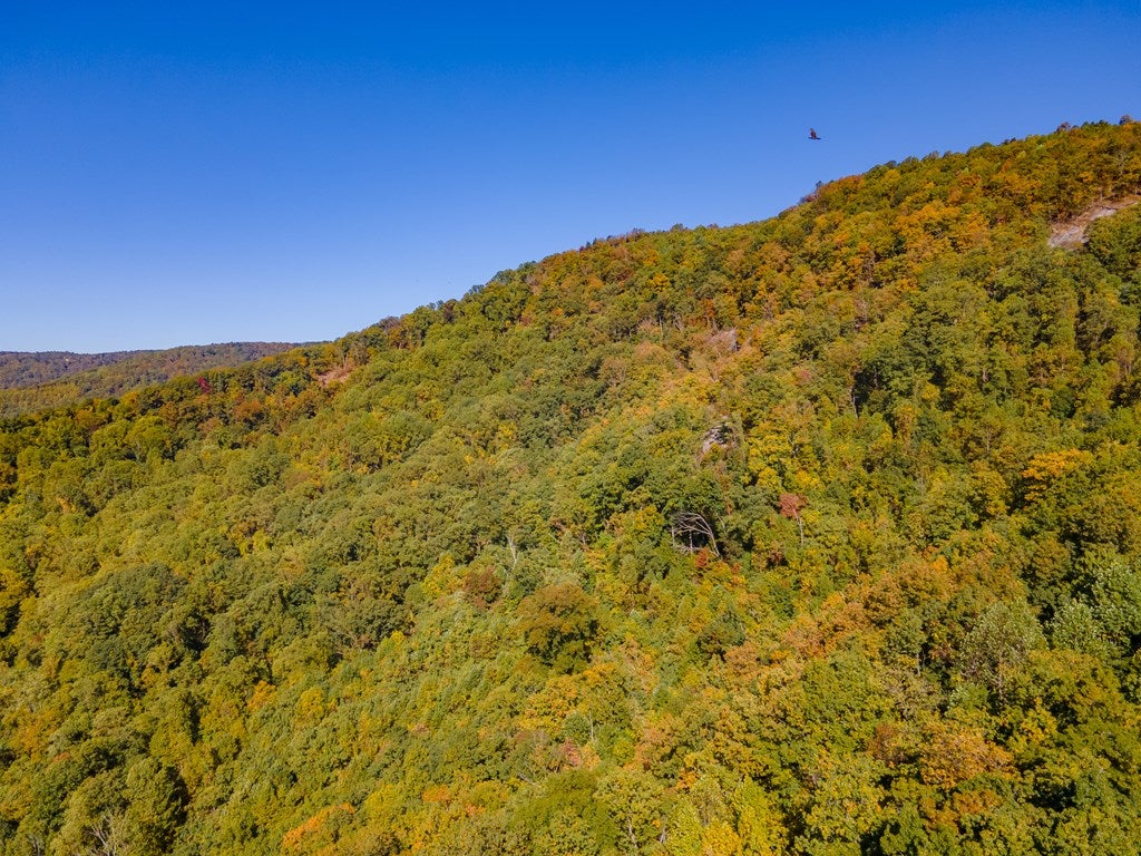 Lot 93 Reflections Point Trail, Unit 93 Fancy Gap, VA 24328 - Photo 88 of 92 Gallery Image 88