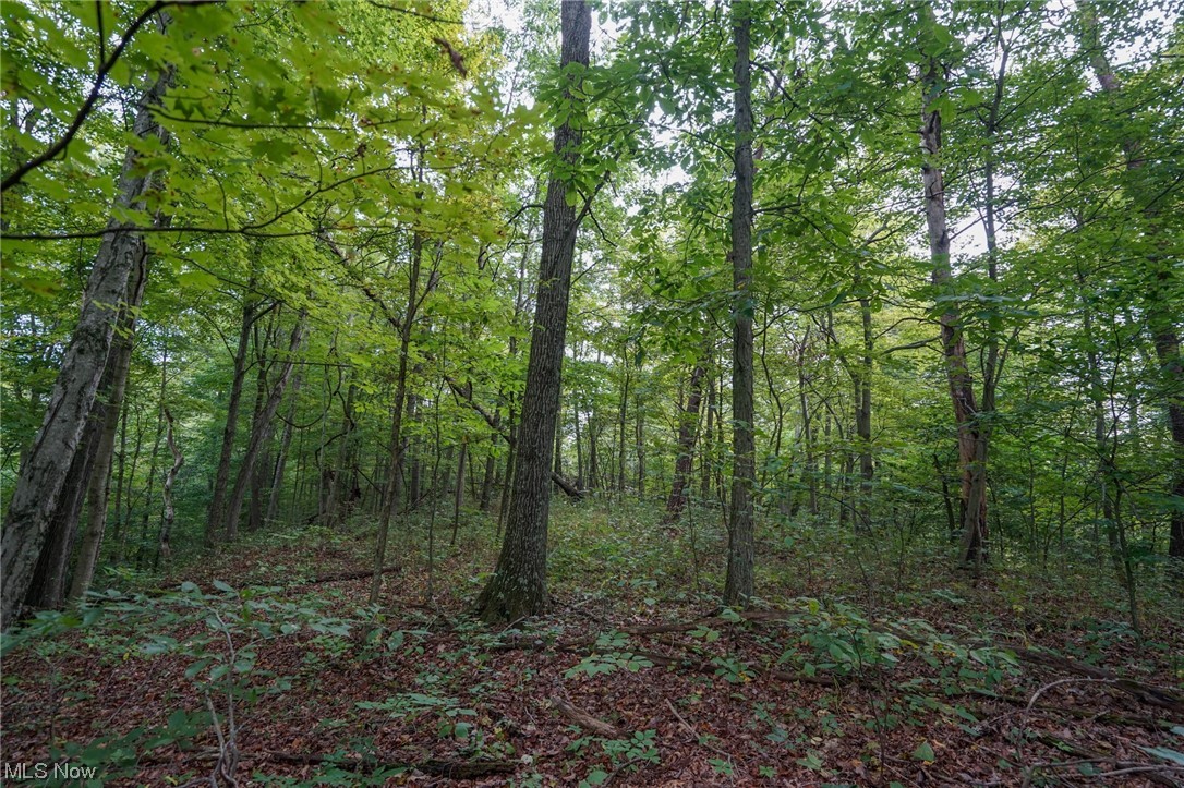 0 Reed Marietta, OH 45750 - Photo 25 of 35 View of mother earth's splendor