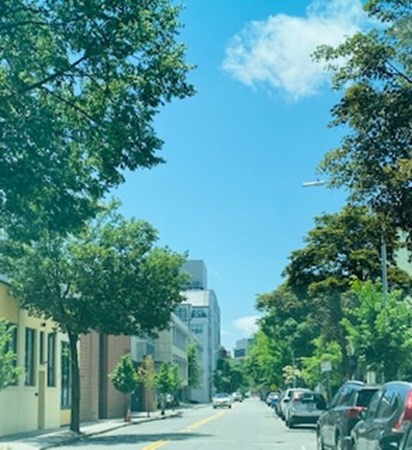 5 Michael Way Cambridge, MA 02141 - Photo 29 of 29