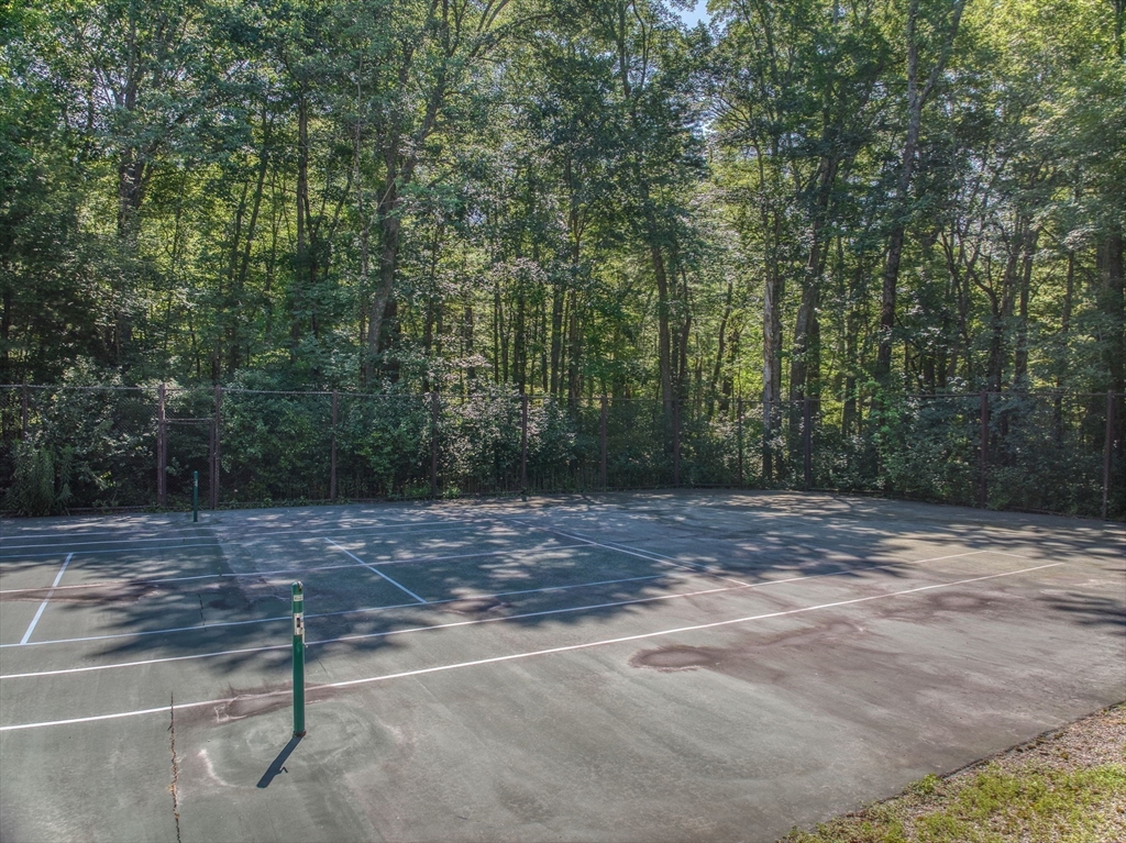 14 Harvard Drive Bedford, MA 01730 - Photo 37 of 40 a view of a yard with trees in the background