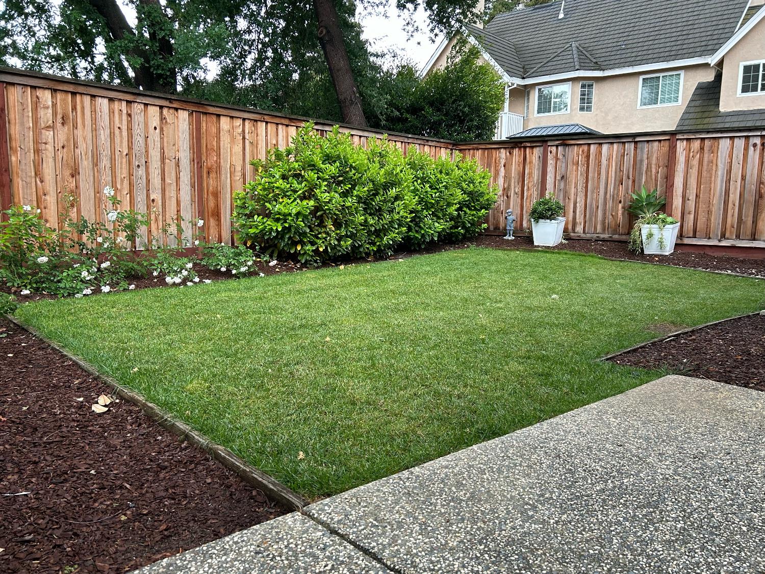 1067 Rio Cidade Way Sacramento, CA 95831 - Photo 2 of 33 a view of backyard with potted plants and wooden fence