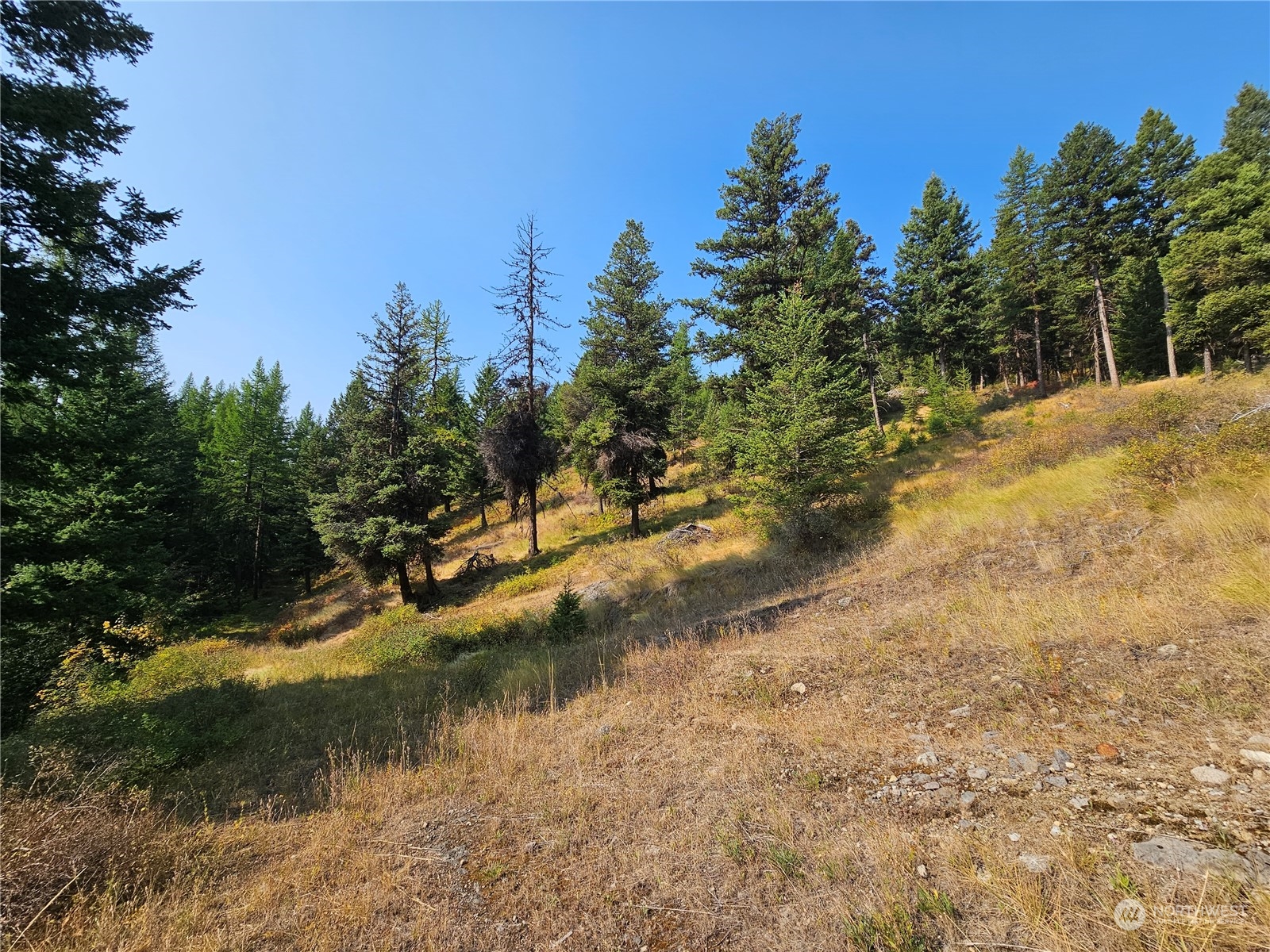 0 Matts Road Oroville, WA 98844 - Photo 1 of 20