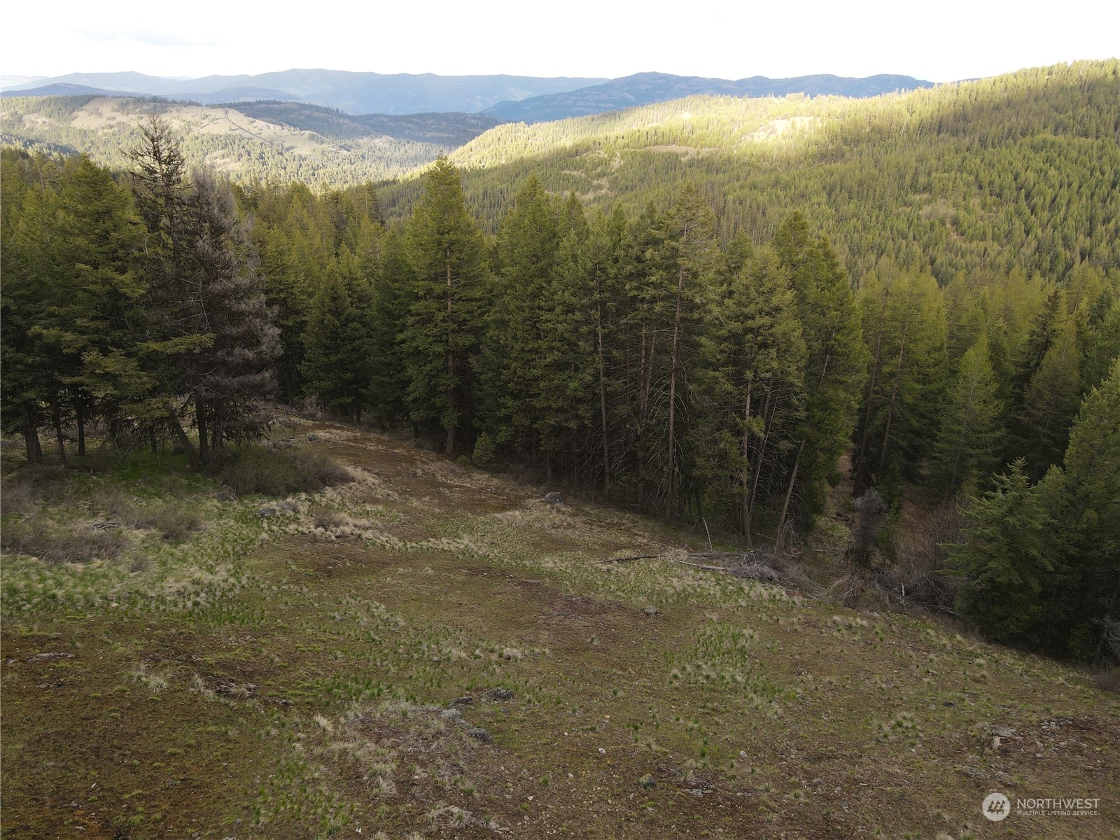 0 Matts Road Oroville, WA 98844 - Photo 18 of 20