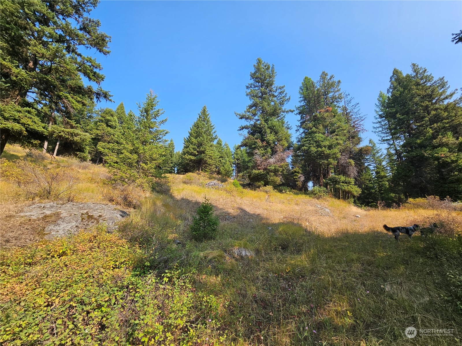 0 Matts Road Oroville, WA 98844 - Photo 3 of 20