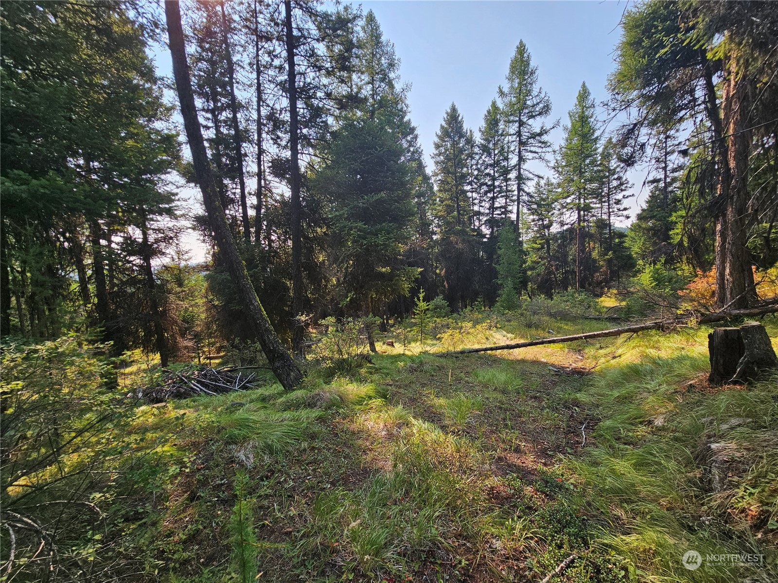 0 Matts Road Oroville, WA 98844 - Photo 7 of 20