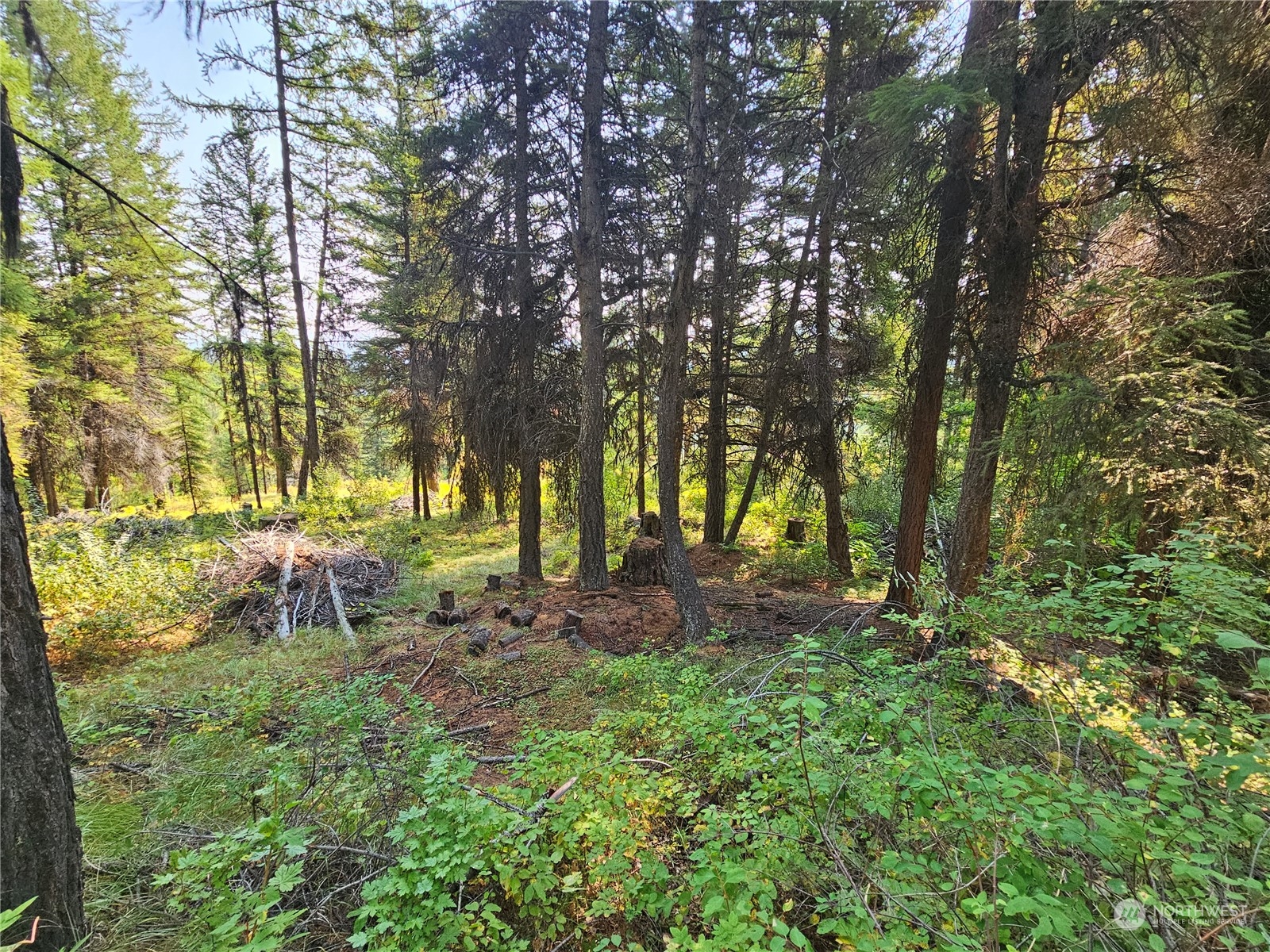 0 Matts Road Oroville, WA 98844 - Photo 8 of 20