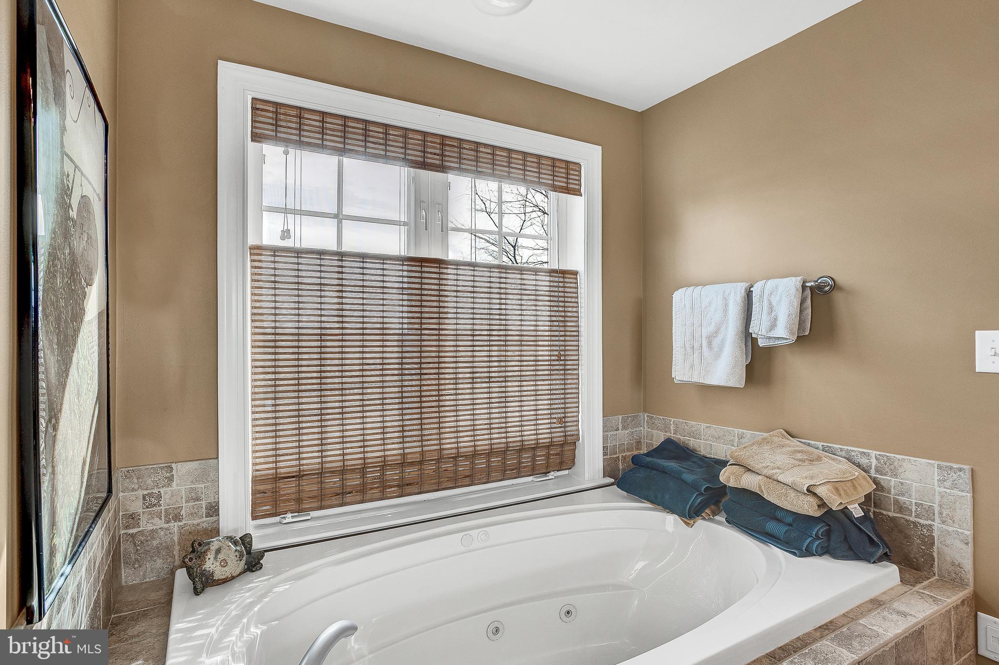 516 Snyder Road Lititz, PA 17543 - Photo 36 of 68 Primary Bath