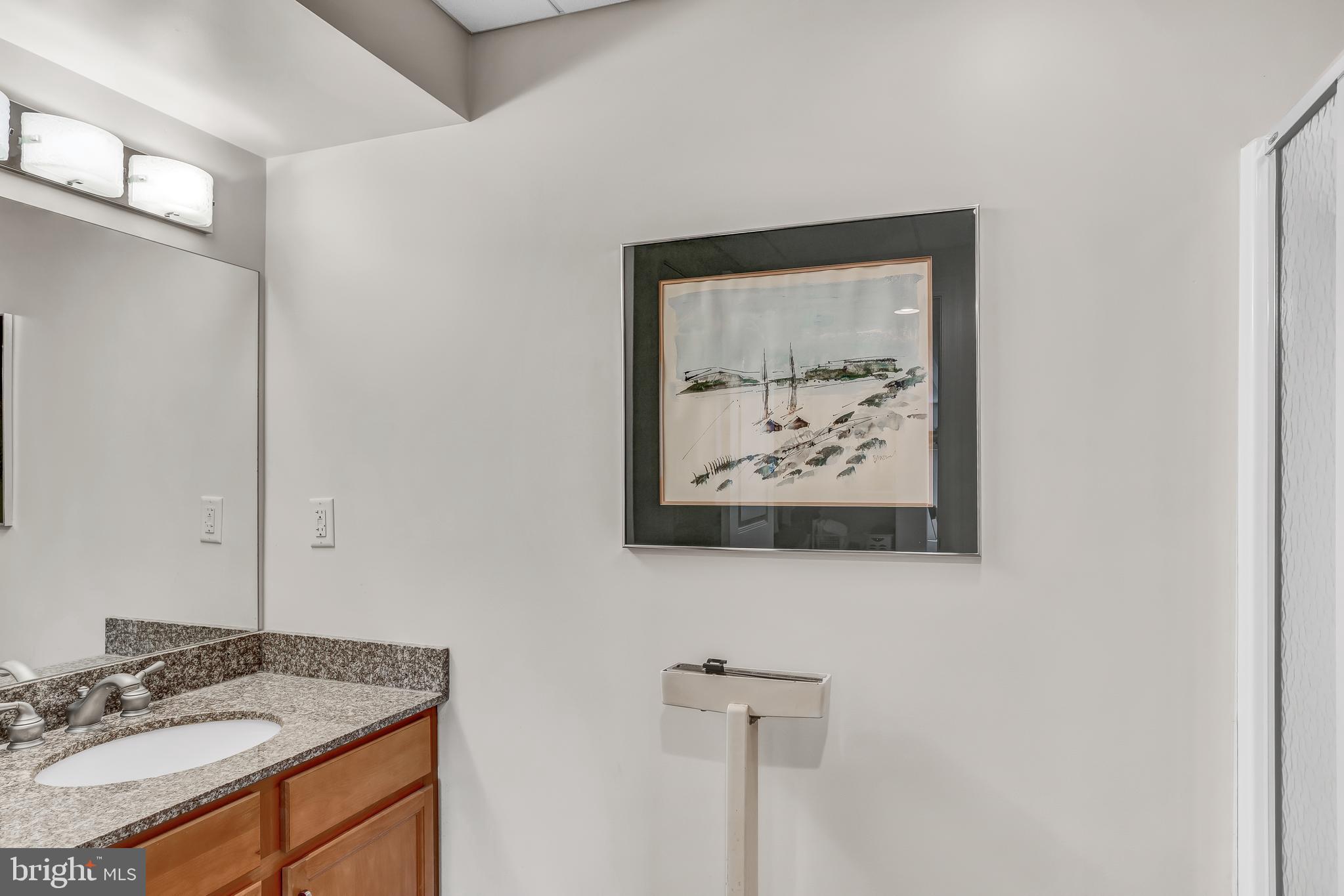 516 Snyder Road Lititz, PA 17543 - Photo 54 of 68 Lower Level Full Bath
