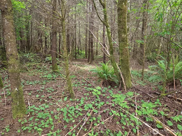 $185,000 | 13 Beaver Hill Lane South, Montesano, WA 98563